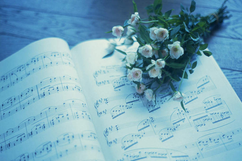 无人,横图,俯视,室内,特写,白天,书籍,蓝色背景,盛开,乐谱,五线谱,音乐,花蕾,花,花瓣,花朵,鲜花,白色,花苞,花蕊,一束,摄影,影棚,节拍,音符,符头,符干,符尾,乐章,彩图,高角度拍摄,影棚拍摄,拍摄