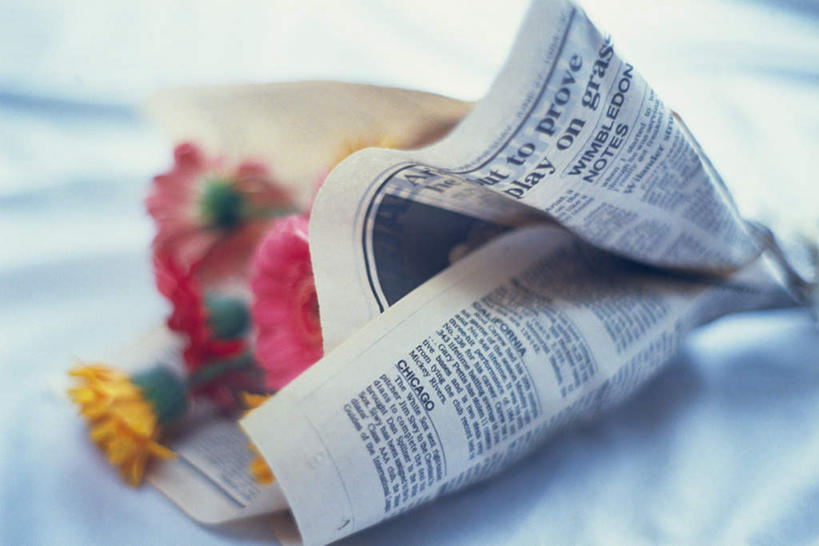 无人,横图,俯视,室内,特写,白天,白色背景,报纸,许多,朦胧,模糊,盛开,信息,玛格丽特,花蕾,雏菊,花,花瓣,花朵,鲜花,红色,花苞,花蕊,菊花,摄影,影棚,新闻,延命菊,幸福花,春菊,马兰头花,彩图,高角度拍摄,影棚拍摄,拍摄,报刊