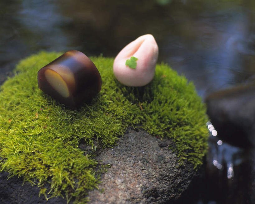 点心,无人,横图,俯视,室外,特写,白天,石头,朦胧,模糊,圆形,石子,和果子,日本料理,料理,食品,甜点,甜品,苔藓,美食,食物,糕点,两个,日式料理,甜食,日式,石块,岩石,彩图,高角度拍摄