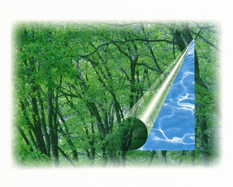 无人,横图,室内,白天,白色背景,正面,数码,科技,美景,树林,水,植物,壁纸,阴影,朦胧,模糊,网络,液体,景观,水滴,高光,几何,计算机图形,合成,树,树木,蓝色,绿色,自然,景色,生长,成长,电脑合成图,数码合成图,自然风光,写实,具体,具象,墙纸,彩图