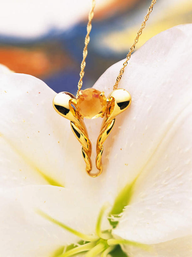 无人,竖图,俯视,室内,特写,白天,爱情,百合花,项链,珠宝,朦胧,模糊,装饰,盛开,挂饰,浪漫,花蕾,装饰品,花,花瓣,花朵,鲜花,一朵,白色,饰品,首饰,花苞,花蕊,恩爱,华丽,修饰,信物,点缀,宝石,权利,强瞿,衬托,美观,雅致,雅观,贵金属,百合蒜,倒仙,番韭,山丹,彩图,高角度拍摄