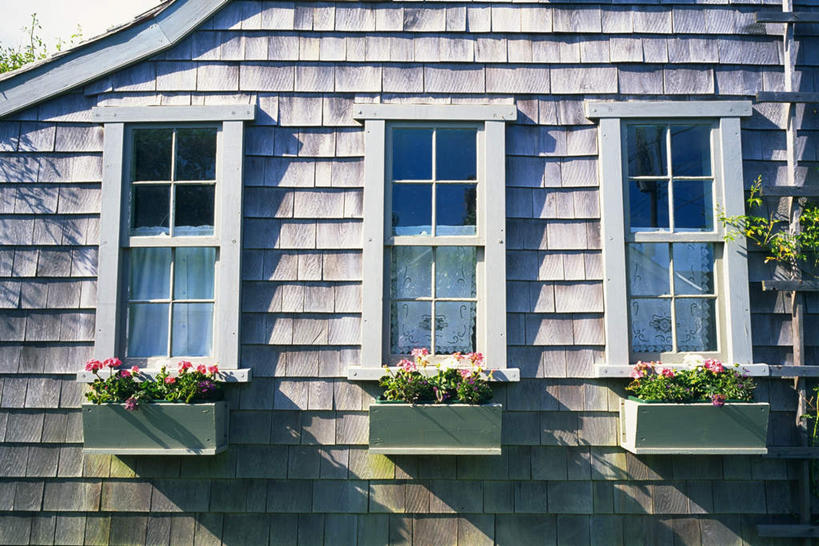 无人,横图,室外,白天,正面,仰视,度假,美景,窗户,城市风光,城市,花盆,美国,一排,许多,阴影,整齐,盛开,光线,影子,屋顶,景观,花蕾,顶棚,娱乐,玻璃窗,花,花瓣,花朵,鲜花,排列,粉色,阳光,花苞,花蕊,享受,休闲,景色,放松,北美,北美洲,队列,美洲,马萨诸塞州,麻州,麻省,马萨诸塞,麻塞诸塞,老殖民地,海湾之州,北亚美利加洲,亚美利加洲,三扇,楠塔基特,彩图,低角度拍摄