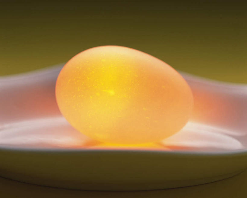 无人,横图,室内,特写,白天,正面,餐具,绿色背景,发光,碟子,盘,蛋,鸡蛋,一个,盘子,碟,摄影,影棚,单个,发亮,草鸡蛋,卵,彩图,影棚拍摄,拍摄