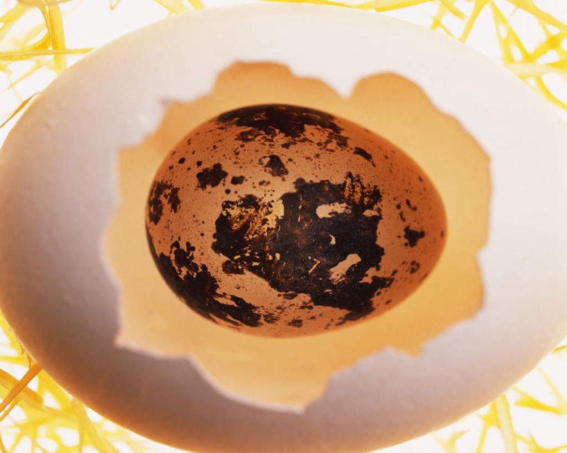 无人,横图,俯视,室内,特写,白天,白色背景,包裹,蛋,蛋壳,鹌鹑蛋,鸭蛋,破损,摄影,影棚,打碎,卵,彩图,高角度拍摄,影棚拍摄,拍摄