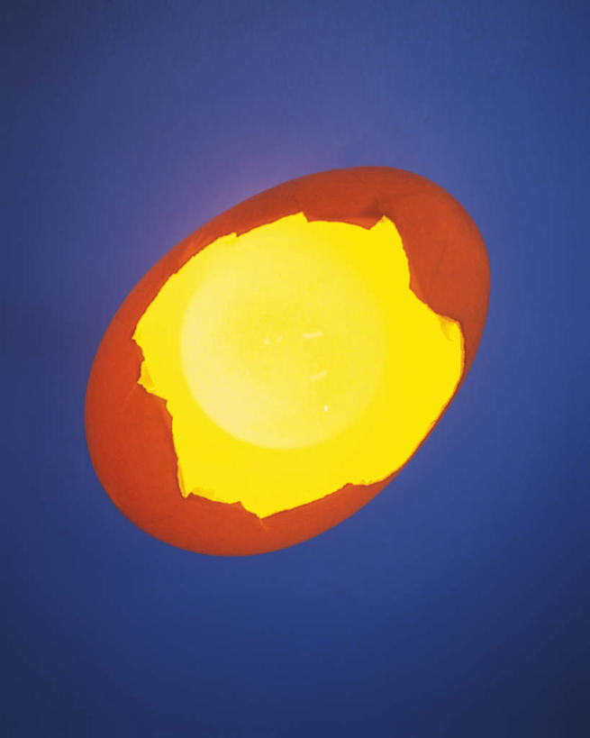 无人,竖图,室内,特写,白天,正面,蓝色背景,发光,蛋,蛋壳,鸡蛋,破坏,破损,一个,摄影,影棚,单个,发亮,草鸡蛋,卵,彩图,影棚拍摄,拍摄