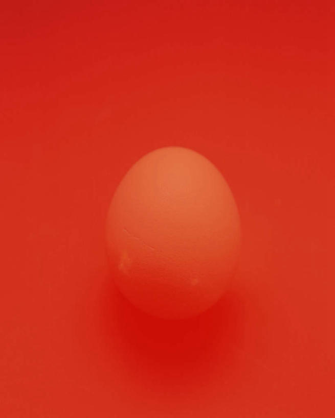 无人,竖图,俯视,室内,特写,白天,红色背景,蛋,鸡蛋,一个,摄影,影棚,单个,草鸡蛋,卵,彩图,高角度拍摄,影棚拍摄,拍摄
