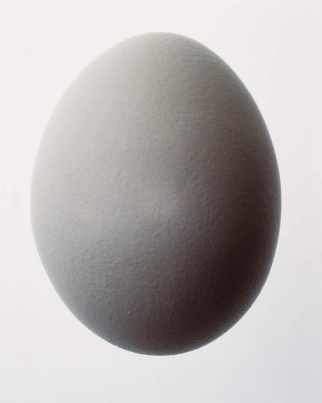 无人,竖图,黑白,室内,特写,白天,白色背景,正面,蛋,鸡蛋,一个,摄影,影棚,单个,草鸡蛋,卵,影棚拍摄,拍摄
