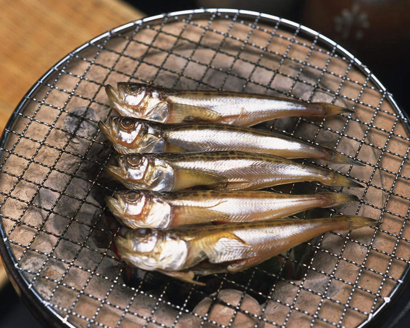 海鲜,无人,横图,俯视,室内,特写,白天,烧烤,一排,许多,整齐,鱼,火炉,烤炉,炉子,鱼干,烤架,水产,鱼类,海洋生物,排列,铁架,五条,队列,水生动物,海产品,水生物,海底动物,彩图,高角度拍摄