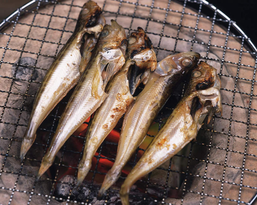 海鲜,无人,横图,俯视,室内,特写,白天,烧烤,餐桌,桌子,火,一排,许多,朦胧,模糊,整齐,鱼,火苗,火焰,烤炉,烤鱼,烤架,水产,鱼类,海洋生物,排列,铁架,五条,餐台,队列,水生动物,海产品,水生物,海底动物,彩图,高角度拍摄