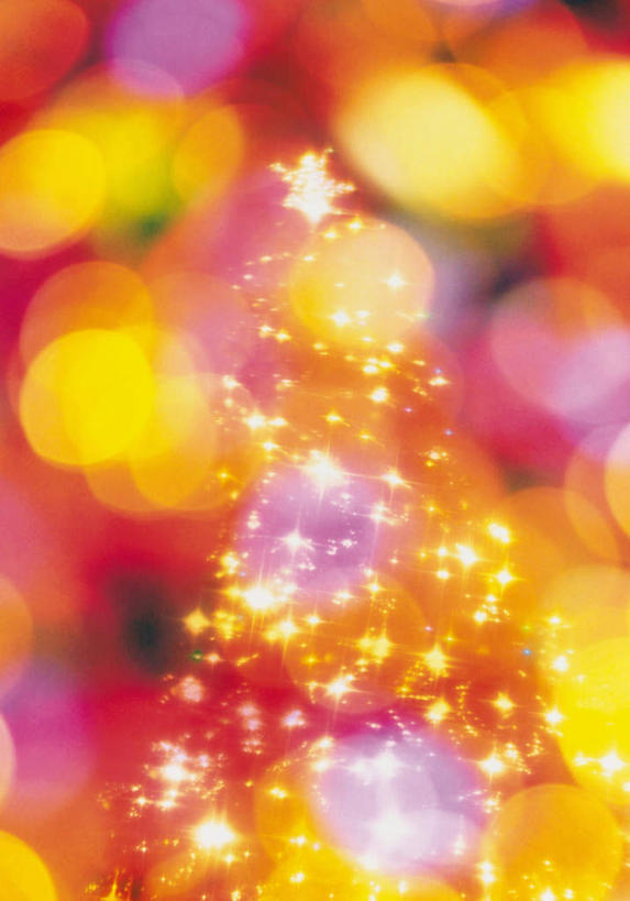 无人,竖图,室内,白天,正面,数码,科技,植物,圣诞节,阴影,节日,朦胧,模糊,庆祝,光线,网络,灯光,圣诞树,高光,几何,计算机图形,合成,文化,树,树木,绿色,自然,灯具,庆典,生长,成长,纪念,电脑合成图,数码合成图,写实,具体,具象,彩图