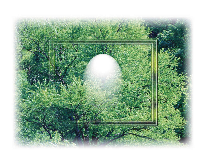 无人,横图,室内,白天,正面,数码,科技,森林,树林,植物,相框,阴影,透明,网络,椭圆,蛋,鸡蛋,高光,几何,计算机图形,合成,树,树木,一个,绿色,白色,自然,框架,生长,单个,成长,电脑合成图,数码合成图,草鸡蛋,写实,具体,具象,彩图