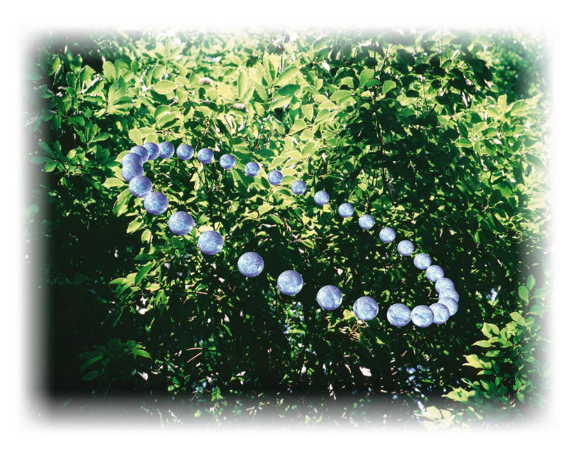 无人,横图,室内,白天,白色背景,正面,数码,科技,森林,树林,水,植物,许多,阴影,漂浮,环绕,围绕,网络,液体,水滴,高光,几何,计算机图形,合成,树,树木,绿色,自然,悬浮,生长,成长,电脑合成图,数码合成图,环形,写实,具体,具象,彩图