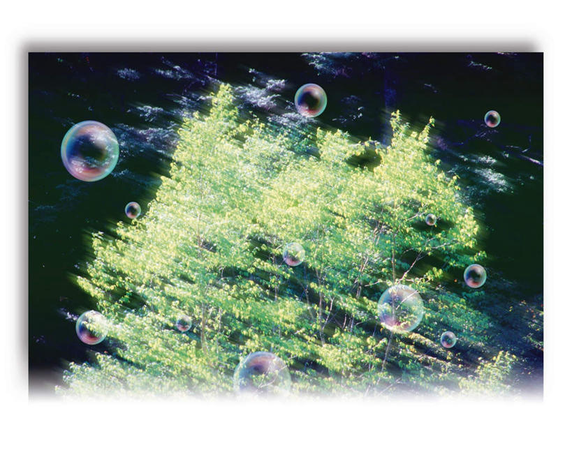 无人,横图,室内,白天,白色背景,正面,数码,科技,森林,树林,植物,许多,阴影,朦胧,模糊,漂浮,光线,网络,影子,高光,几何,计算机图形,合成,树,树木,绿色,阳光,自然,泡泡,悬浮,生长,成长,电脑合成图,数码合成图,写实,具体,具象,彩图