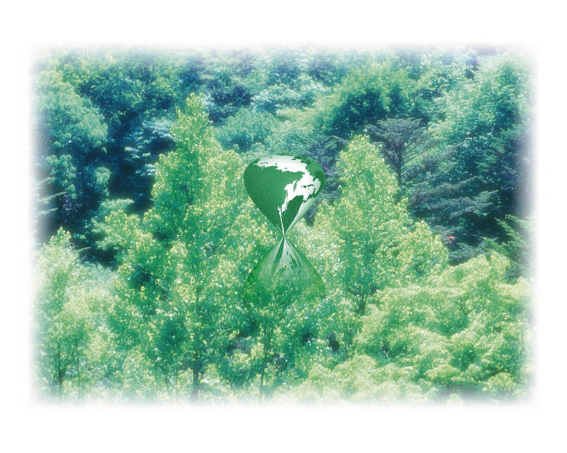 无人,横图,室内,白天,正面,数码,科技,森林,树林,植物,壁纸,阴影,网络,高光,几何,计算机图形,合成,树,树木,绿色,自然,生长,成长,电脑合成图,数码合成图,写实,具体,具象,墙纸,彩图