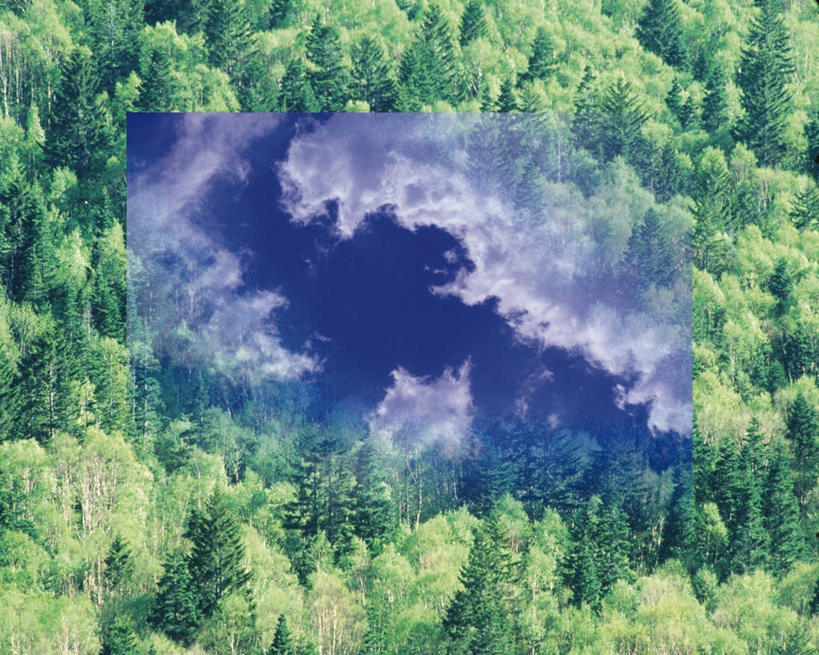 无人,横图,俯视,室内,白天,数码,科技,森林,树林,植物,阴影,透明,网络,云,云朵,高光,几何,计算机图形,合成,云彩,树,树木,蓝色,绿色,白云,蓝天,天空,自然,天,生长,晴朗,成长,电脑合成图,数码合成图,写实,具体,具象,晴空,彩图,高角度拍摄