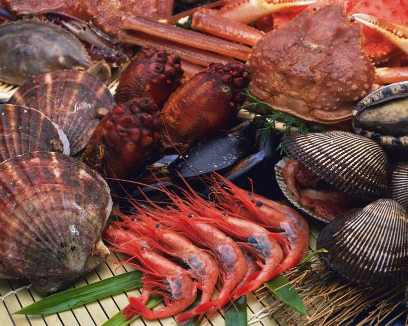 海鲜,无人,横图,俯视,室内,特写,白天,桌面,贝壳,蓝色背景,虾,帝王蟹,水产,海洋生物,摄影,影棚,毛蚶,毛蛤,麻蛤,水生动物,海产品,水生物,海底动物,皇帝蟹,贝类外壳,海螺壳,软体动物外壳,彩图,高角度拍摄,影棚拍摄,拍摄