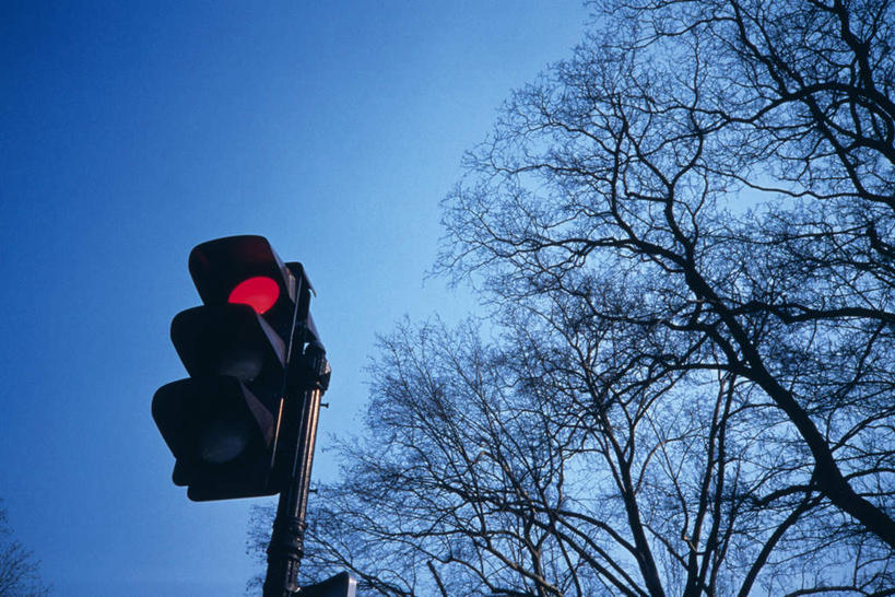 无人,横图,室外,白天,仰视,旅游,度假,安全,植物,红绿灯,信号灯,交通,警告,娱乐,树,树木,蓝色,绿色,蓝天,天空,自然,天,享受,休闲,放松,警示,红灯,生长,晴朗,成长,禁止,提醒,提示,限制,流通,交通信号灯,万里无云,行人信号灯,危险,晴空,晴空万里,彩图,低角度拍摄