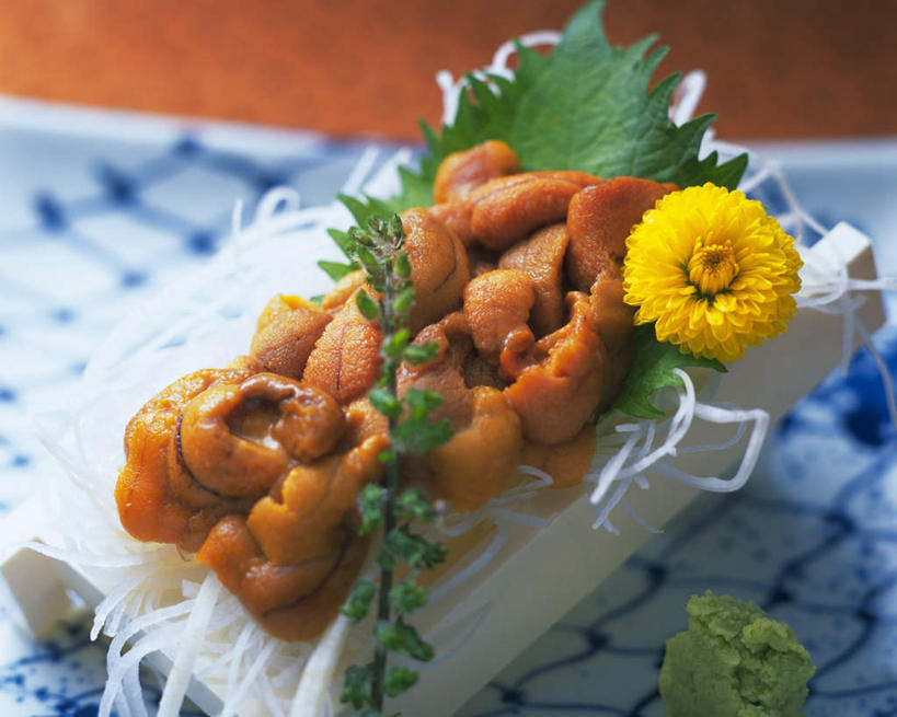 海鲜,无人,横图,俯视,室内,特写,白天,烹饪,餐桌,桌子,海胆,蔬菜,餐具,一排,许多,朦胧,模糊,新鲜,整齐,盛开,碟子,盘,日本料理,料理,食品,花蕾,水产,萝卜丝,菜肴,美食,海洋生物,花,花瓣,花朵,鲜花,食物,排列,一朵,黄色,盘子,碟,日式料理,花苞,花蕊,日式,菊花,摄影,佳肴,有机食品,绿色食品,影棚,餐台,一份,队列,水生动物,海产品,水生物,海底动物,彩图,高角度拍摄,影棚拍摄,拍摄