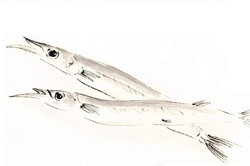 海鲜,无人,横图,插画,室内,白天,白色背景,侧面,数码,科技,两条,阴影,网络,鱼,高光,几何,计算机图形,合成,图画,注视,水产,鱼类,海洋生物,画,观察,看,观看,针鱼,鱵鱼,电脑合成图,数码合成图,察看,关注,水生动物,海产品,水生物,漫画,海底动物,写实,具体,具象,单针鱼,姜公鱼,铜吮鱼,针工鱼,针扎鱼,箴鱼,彩图,全身