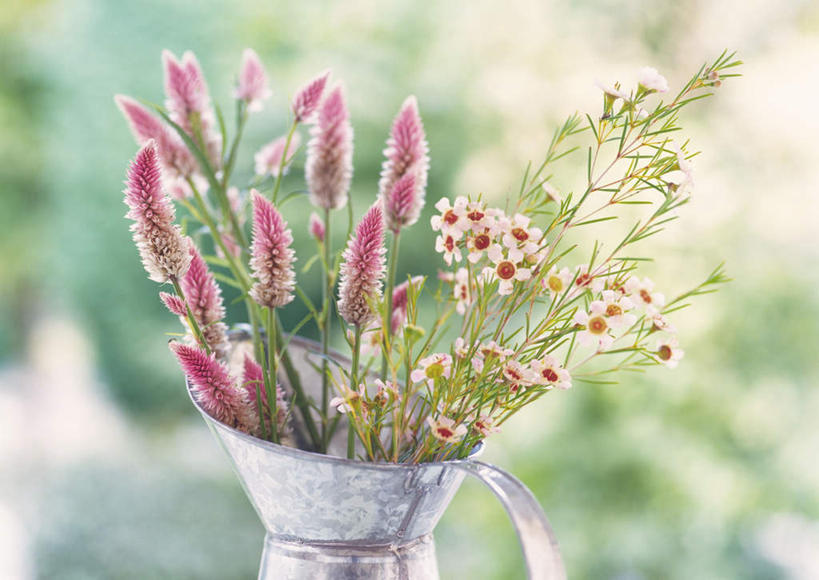 无人,横图,室外,特写,白天,正面,花瓶,叶子,许多,朦胧,模糊,盛开,绿叶,花蕾,花,花瓣,花朵,鲜花,绿色,花苞,花蕊,嫩叶,青葙,风蜡花,杰拉尔顿腊花,蜡花,淘金彩梅,鸡冠苋,昆仑草,萋蒿,野鸡冠,叶,叶片,彩图