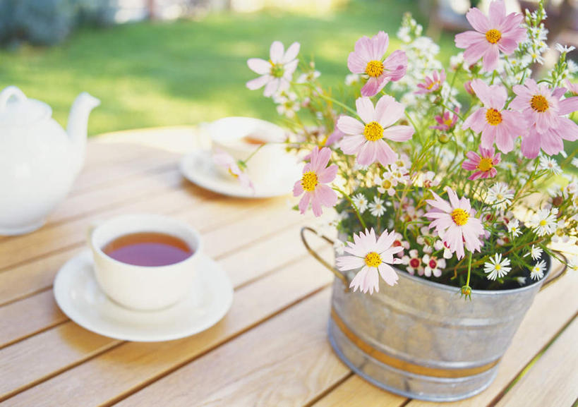 无人,横图,俯视,室外,白天,快乐,幸福,草地,草坪,植物,桌子,杯子,餐具,许多,朦胧,模糊,盛开,瓷器,碟子,盘,水桶,玛格丽特,咖啡杯,陶瓷制品,花蕾,草,雏菊,花,花瓣,花朵,鲜花,绿色,盘子,茶壶,碟,花苞,花蕊,菊花,活力,希望,坚强,瓷杯,和平,离别,延命菊,幸福花,春菊,马兰头花,蜡菊,暗恋,纯情,单恋,麦秆菊,天真,彩图,高角度拍摄,愉快