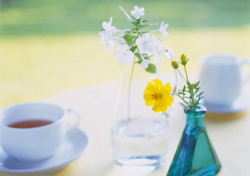 无人,横图,俯视,室外,白天,草地,草坪,植物,桌子,杯子,花瓶,玻璃,许多,朦胧,模糊,盛开,瓷器,咖啡杯,陶瓷制品,花蕾,玻璃制品,草,花,花瓣,花朵,鲜花,一朵,黄色,绿色,花苞,花蕊,瓷杯,黄波斯菊,黄芙蓉,黄秋英,硫华菊,硫黄菊,彩图,高角度拍摄