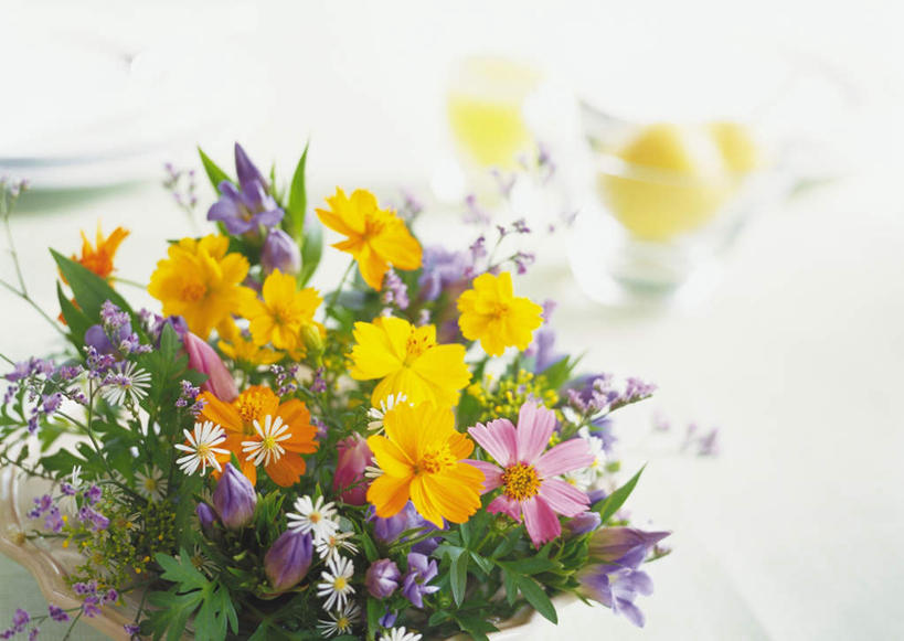 无人,横图,俯视,室内,特写,白天,快乐,幸福,桌子,郁金香,杯子,花瓶,叶子,许多,朦胧,模糊,盛开,绿叶,玛格丽特,花蕾,玻璃制品,雏菊,花,花瓣,花朵,鲜花,水杯,花苞,花蕊,嫩叶,菊花,活力,希望,坚强,和平,离别,延命菊,幸福花,春菊,马兰头花,黄波斯菊,黄芙蓉,黄秋英,硫华菊,硫黄菊,暗恋,纯情,单恋,天真,叶,叶片,玻璃杯,郁香,洋荷花,草麝香,彩图,高角度拍摄,愉快