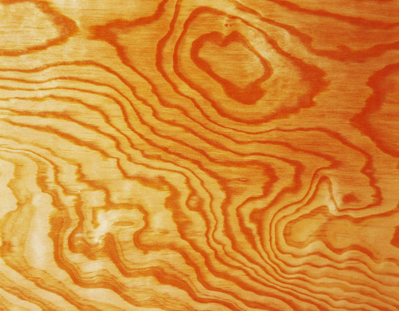 无人,横图,俯视,室内,特写,白天,静物,日本,亚洲,阴影,花纹,反射,纹路,木板,木材,纹理,影子,黄色,木块,木料,东亚,肌理,日本国,杉木,彩图,高角度拍摄