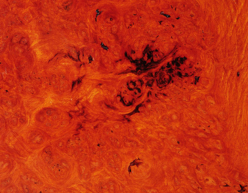 无人,横图,俯视,室内,特写,白天,静物,阴影,花纹,反射,纹路,木板,木材,纹理,影子,红色,木块,木料,肌理,榉树,大叶榉,红榉树,白榉,大叶榉树,彩图,高角度拍摄