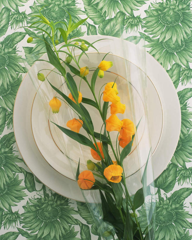 无人,竖图,俯视,室内,特写,白天,桌子,餐具,叶子,许多,阴影,盛开,反射,包装,布料,碟子,盘,影子,绿叶,花蕾,布纹,桌布,花,花瓣,花朵,鲜花,一个,黄色,绿色,白色,盘子,餐巾,碟,台布,花束,花苞,花蕊,嫩叶,摄影,影棚,单个,灯笼花,吊钟花,倒挂金钟,吊钟海棠,叶,叶片,彩图,高角度拍摄,影棚拍摄,拍摄