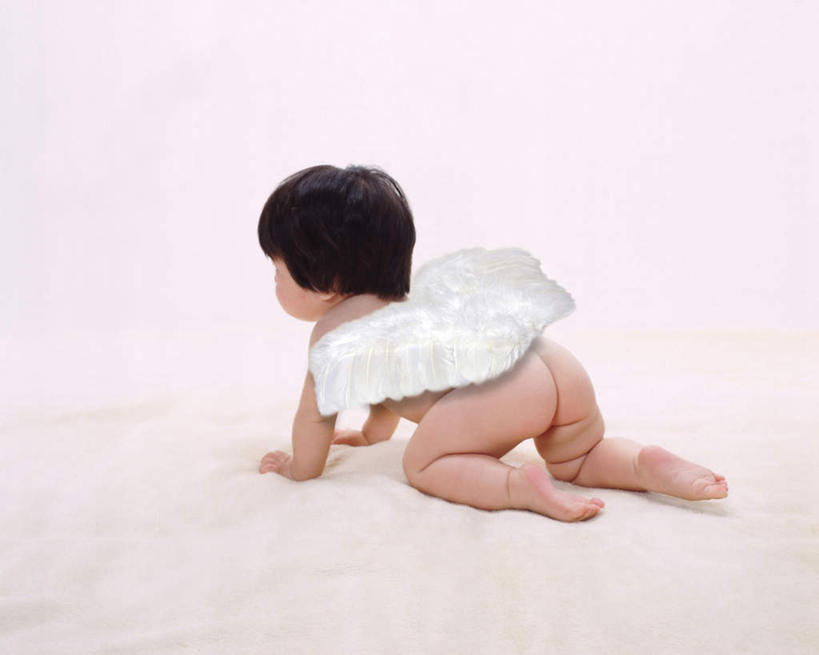 东方人,婴儿,儿童,头发,一个人,摸,横图,室内,白天,白色背景,纯洁,床,羽毛,亚洲,仅一个人,撑,抚摸,柔软,翅膀,床单,一对,黄种人,被子,裸露,小孩,背面,白色,黑色,趴着,爬,可爱,摄影,单人床,活泼,影棚,赤裸,撑着,被单,神圣,宝宝,裸,洁白,纯真,烂漫,无邪,伶俐,天真,亚洲人,孩子,触摸,接触,趴,彩图,全身,影棚拍摄,拍摄