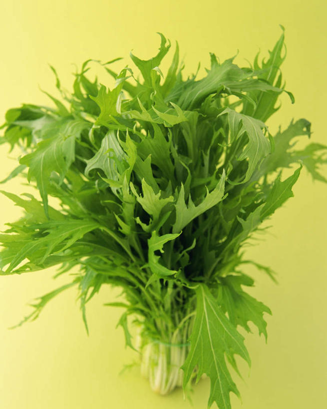 无人,竖图,俯视,室内,特写,白天,桌面,桌子,蔬菜,叶子,黄色背景,新鲜,木制,食品,绿叶,雪菜,食物,木制品,嫩叶,摄影,有机食品,绿色食品,影棚,雪里红,叶,叶片,彩图,高角度拍摄,影棚拍摄,拍摄,雪里蕻