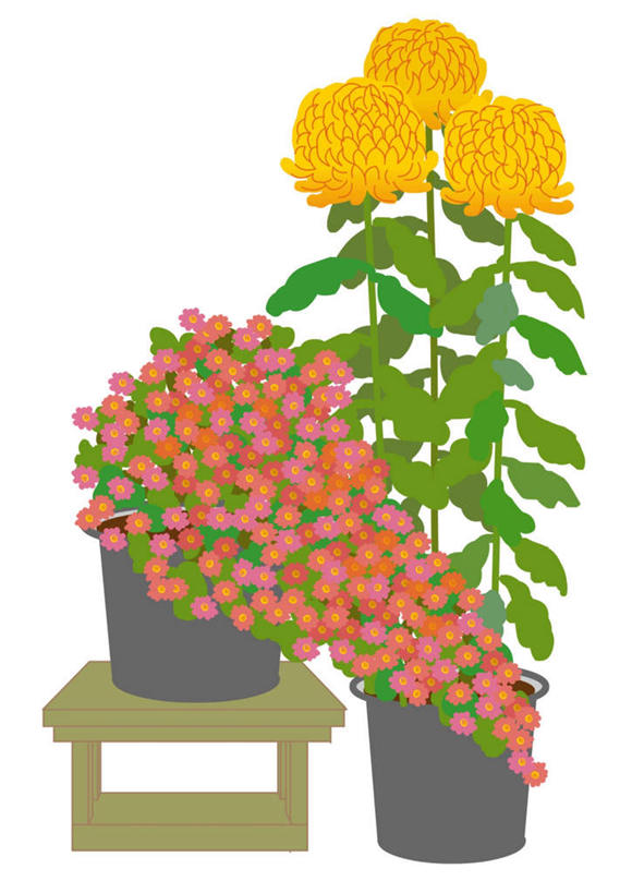 无人,竖图,插画,室内,白天,白色背景,正面,快乐,幸福,数码,科技,植物,阴影,网络,木制,板凳,盆栽,凳子,玛格丽特,盆景,两盆,高光,几何,计算机图形,合成,图画,画,雏菊,绿色,自然,木制品,菊花,活力,生长,成长,希望,电脑合成图,数码合成图,坚强,和平,漫画,离别,写实,具体,具象,延命菊,幸福花,春菊,马兰头花,暗恋,纯情,单恋,天真,彩图,愉快