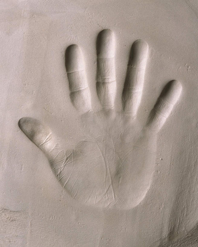 手,手掌,无人,竖图,俯视,室内,特写,白天,静物,张开,灰色背景,艺术,手工艺品,文化,一只,工艺品,手部,手指,摄影,影棚,粘土,高雅,手印,印记,手工艺,自信心,品位,彩图,高角度拍摄,影棚拍摄,拍摄
