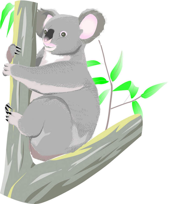 无人,抱,竖图,插画,室内,白天,侧面,数码,科技,植物,哺乳动物,野生动物,叶子,阴影,网络,绿叶,高光,几何,计算机图形,合成,图画,注视,画,树,树木,一只,绿色,灰色,自然,动物,观察,看,嫩叶,可爱,活泼,生长,成长,抱着,观看,电脑合成图,数码合成图,察看,搂着,关注,树袋熊,考拉,无尾熊,可拉熊,漫画,写实,具体,具象,叶,叶片,搂,搂抱,彩图,全身