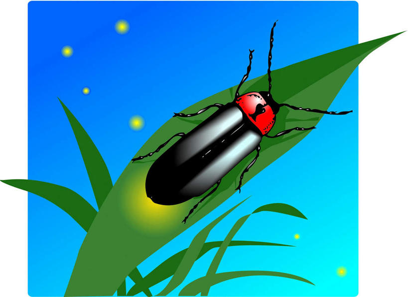 无人,横图,俯视,插画,室内,白天,数码,科技,植物,叶子,阴影,网络,绿叶,高光,几何,计算机图形,合成,图画,注视,画,一只,蓝色,绿色,蓝天,天空,天,观察,看,趴着,嫩叶,观看,电脑合成图,数码合成图,察看,关注,漫画,萤火虫,写实,具体,具象,叶,叶片,趴,彩图,高角度拍摄,全身