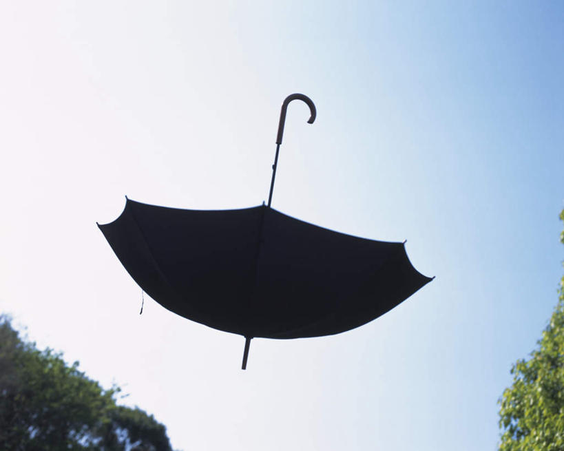 无人,横图,室外,特写,白天,仰视,植物,一把,漂浮,伞,雨伞,遮阳伞,半空,阳伞,树,树木,蓝色,绿色,黑色,蓝天,天空,自然,天,悬浮,生长,晴朗,成长,掉落,万里无云,晴空,晴空万里,彩图,低角度拍摄