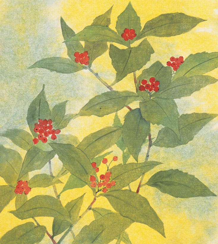 无人,竖图,俯视,插画,室内,白天,绘画,数码,科技,植物,叶子,许多,阴影,黄色背景,艺术,盛开,网络,果子,绿叶,高光,几何,计算机图形,古典,合成,花蕾,图画,文化,画,花,花瓣,花朵,鲜花,红色,绿色,自然,花苞,花蕊,品味,嫩叶,冬青,生长,成长,美术,电脑合成图,数码合成图,高雅,生命,漫画,冻青,写实,具体,具象,美学,叶,叶片,彩图,高角度拍摄