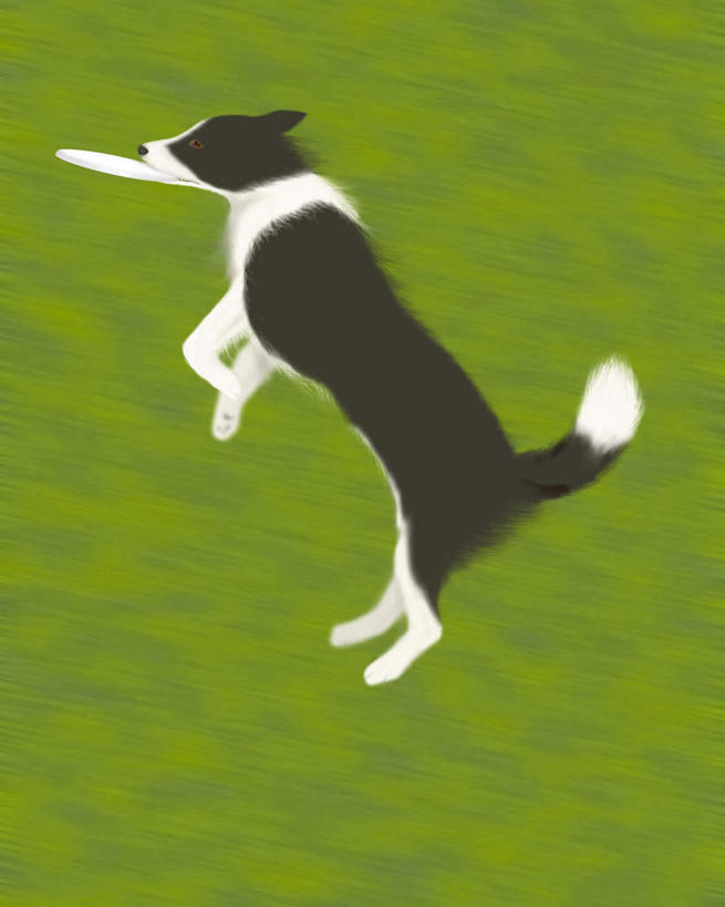 无人,跳,竖图,插画,室内,白天,侧面,游戏,数码,科技,草地,草坪,植物,宠物,狗,阴影,网络,半空,高光,几何,计算机图形,玩,合成,图画,娱乐,画,草,一只,绿色,动物,飞盘,休闲,可爱,牧羊犬,活动,电脑合成图,数码合成图,发泄,消遣,智力,漫画,边境牧羊犬,忠诚,写实,具体,具象,宣泄,边境柯利牧羊犬,博德牧羊犬,犬,跳跃,玩耍,嬉戏,彩图,全身
