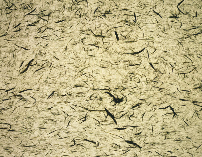 无人,横图,室内,特写,白天,正面,静物,花纹,条纹,日本文化,纹路,纹理,纸,纸张,文化,灰色,摄影,影棚,丝线,肌理,和纸,日本纸,彩图,影棚拍摄,拍摄,传统文化