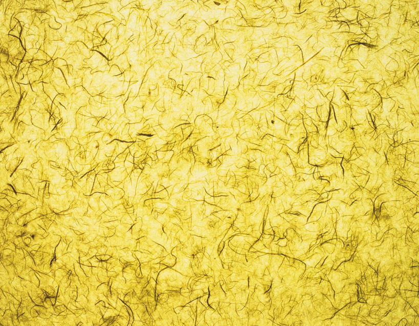 无人,横图,室内,特写,白天,正面,静物,花纹,条纹,日本文化,纹路,纹理,纸,纸张,文化,黄色,摄影,影棚,丝线,肌理,和纸,日本纸,彩图,影棚拍摄,拍摄,传统文化