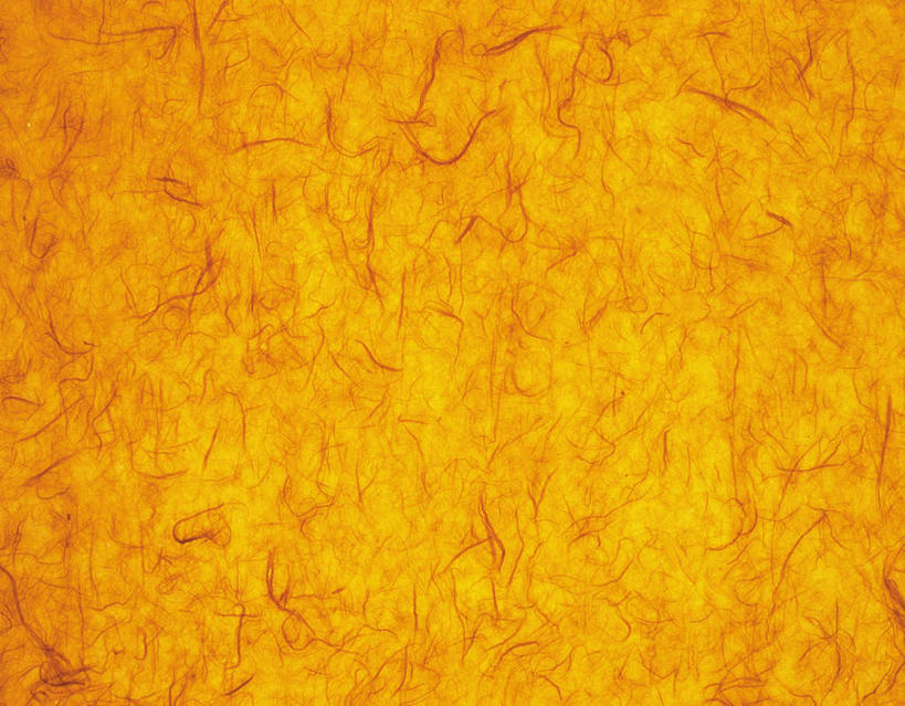 无人,横图,室内,特写,白天,正面,静物,花纹,条纹,日本文化,纹路,纹理,纸,纸张,文化,黄色,摄影,影棚,丝线,肌理,和纸,日本纸,彩图,影棚拍摄,拍摄,传统文化