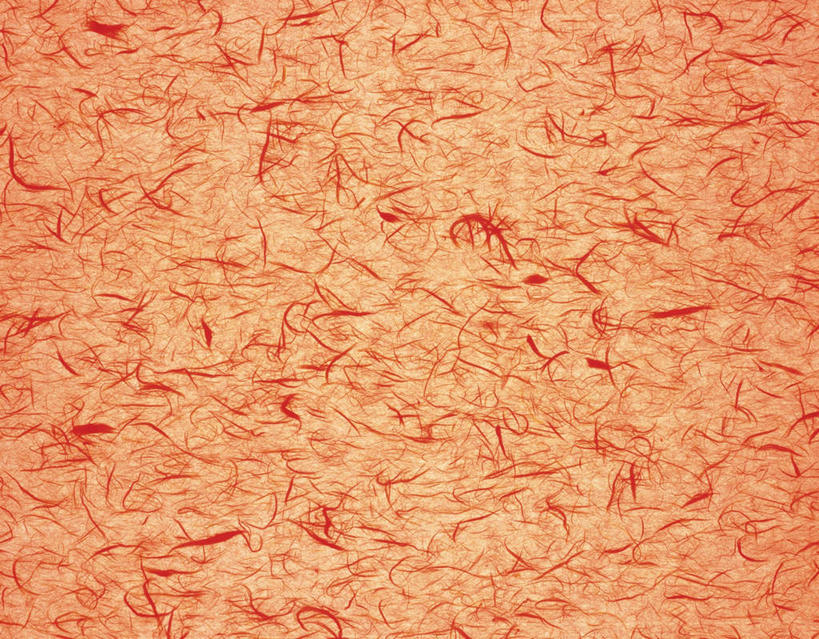 无人,横图,室内,特写,白天,正面,静物,花纹,条纹,日本文化,纹路,纹理,纸,纸张,文化,黄色,摄影,影棚,丝线,肌理,和纸,日本纸,彩图,影棚拍摄,拍摄,传统文化