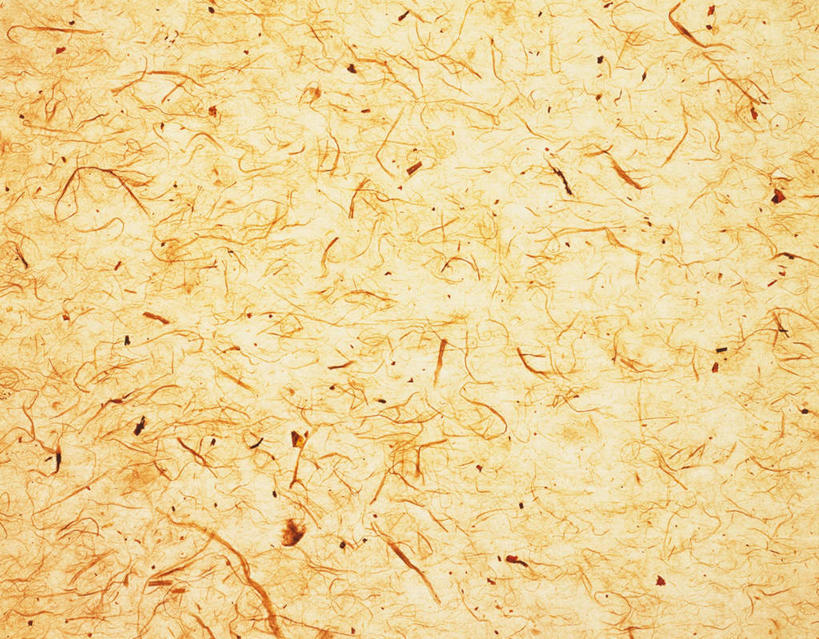 无人,横图,室内,特写,白天,正面,静物,花纹,条纹,日本文化,纹路,纹理,纸,纸张,文化,黄色,摄影,影棚,丝线,肌理,和纸,日本纸,彩图,影棚拍摄,拍摄,传统文化