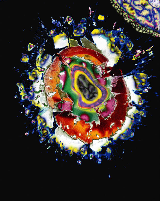 无人,竖图,彩色,室内,白天,正面,数码,科技,阴影,飞溅,黑色背景,溅,网络,细胞,高光,几何,计算机图形,合成,破坏,破损,损坏,电脑合成图,数码合成图,喷洒,释放,写实,具体,具象,彩图