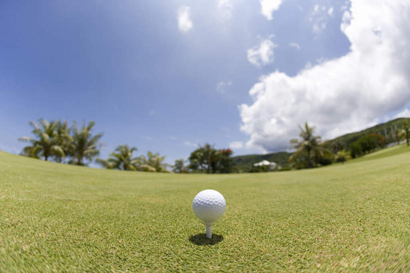 无人,横图,室外,特写,白天,正面,广角镜头,鱼眼镜头,草地,草坪,树林,植物,高尔夫,高尔夫球,云,云朵,球场,云彩,高尔夫球场,草,树,树木,一个,蓝色,绿色,白云,蓝天,天空,自然,天,球托,生长,单个,成长,高尔夫球杆,绿茵场,高尔夫运动,高尔夫球具,彩图