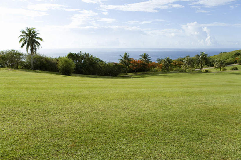 无人,横图,俯视,室外,白天,锻炼,旅游,度假,运动,草地,草坪,美景,植物,棕榈树,叶子,阴影,光线,影子,景观,云,云朵,球场,绿叶,云彩,娱乐,高尔夫球场,草,树,树木,蓝色,绿色,白云,蓝天,天空,阳光,自然,天,享受,休闲,嫩叶,景色,放松,生长,成长,太平洋,自然风光,绿茵场,棕榈叶,北马里亚那群岛,北马里亚纳,北马里亚纳群岛,北马里亚纳群岛自由联邦,塞班岛,西太平洋,体育,叶,叶片,彩图,高角度拍摄,健身