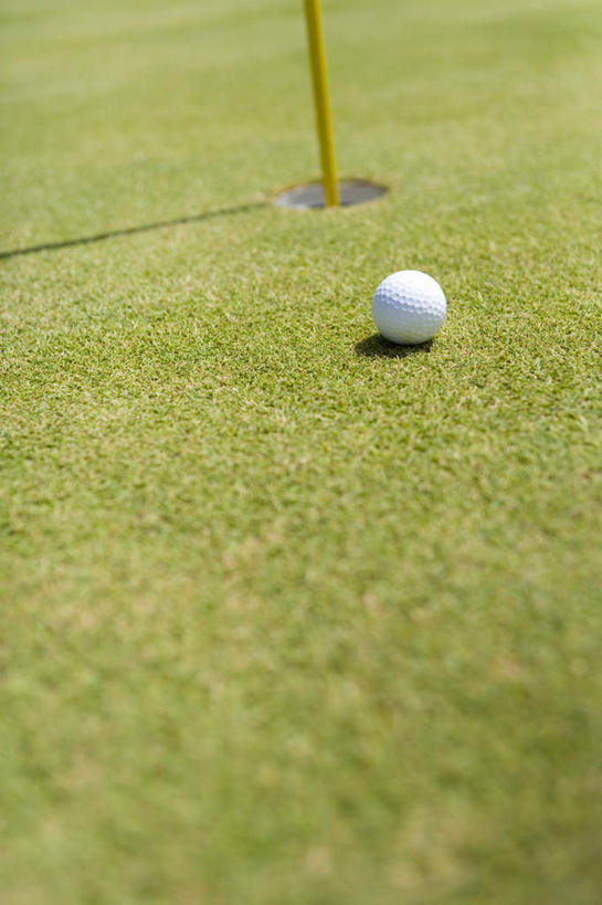 无人,竖图,俯视,室外,特写,白天,锻炼,运动,高尔夫,高尔夫球,旗杆,球场,高尔夫球场,球,一个,白色,球体,单个,绿茵场,高尔夫运动,高尔夫球具,体育,彩图,高角度拍摄,健身