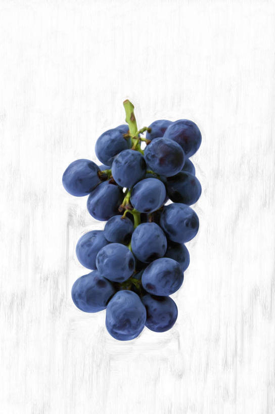 无人,竖图,室内,特写,白天,白色背景,正面,桌面,葡萄,水果,一串,新鲜,生食,食品,果实,食物,紫色,摄影,有机食品,绿色食品,影棚,山葫芦,蒲桃,草龙珠,彩图,影棚拍摄,拍摄