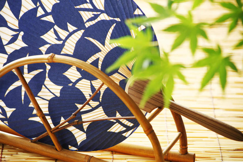 无人,横图,俯视,室内,特写,白天,爱情,桌面,喇叭花,叶子,一把,花纹,朦胧,模糊,盛开,扇子,图案,折扇,纸扇,枫叶,枯叶,落叶,榻榻米,清凉,花蕾,凉爽,文化,花,花瓣,花朵,鲜花,黄色,红色,蓝色,绿色,花苞,花蕊,枫树叶,虚幻,永恒,牵牛,牵牛子,勤娘子,碧冬茄,朝颜花,灵芝牡丹,撒扇,冷静,牵牛花,叶,叶片,彩图,高角度拍摄,传统文化